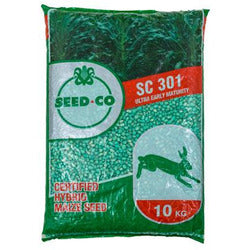 Seed Maize (Mbeu) - Seed Co