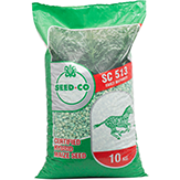 Seed Maize (Mbeu) - Seed Co