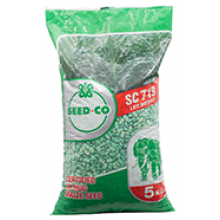 Seed Maize (Mbeu) - Seed Co